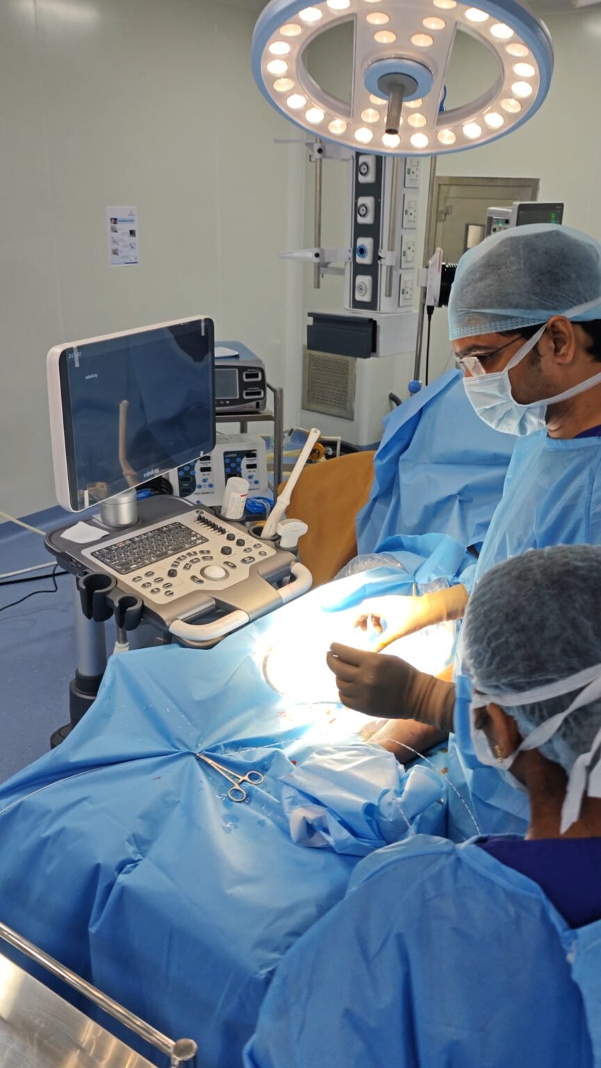 IMG_20241226_14574220