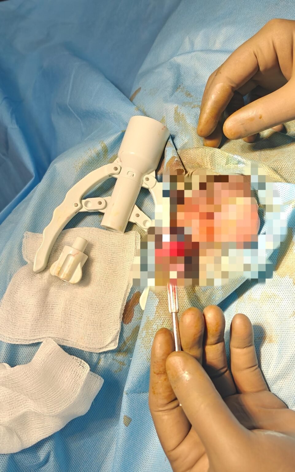 WhatsApp Image 2025-07-29 at 10.55.02 AM