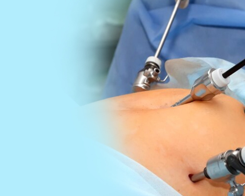 Untitled design (80)