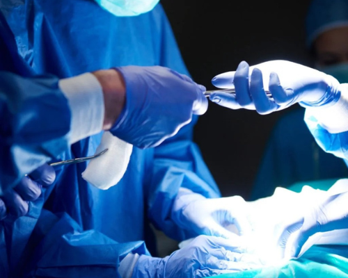 Untitled design (87)