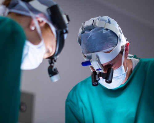 Untitled design (91)