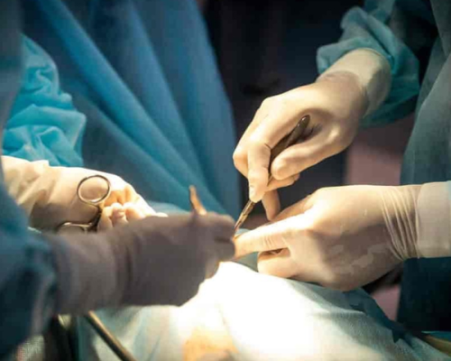 Untitled design (93)