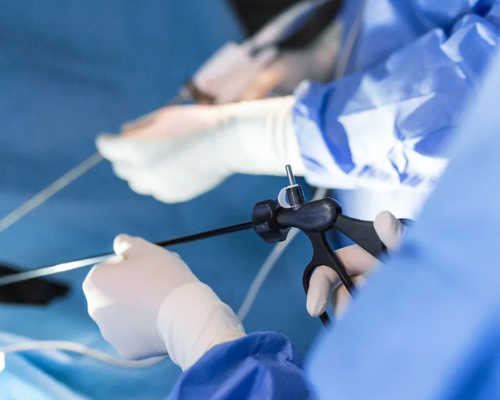 Untitled design (95)